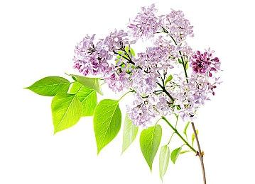 复古动作冒险游戏《地狱火》2月14日发售